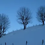 Galtenberg Apartamento Alpbach