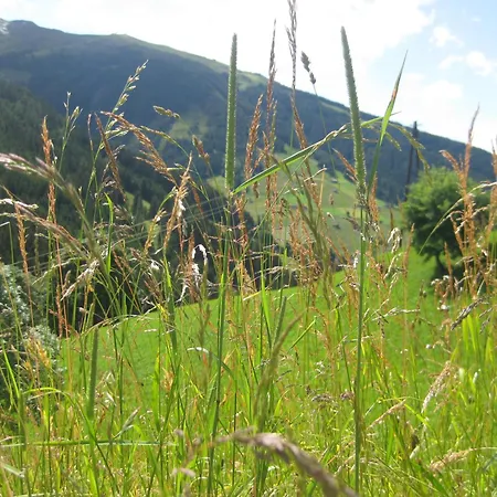 Apartment Galtenberg Alpbach