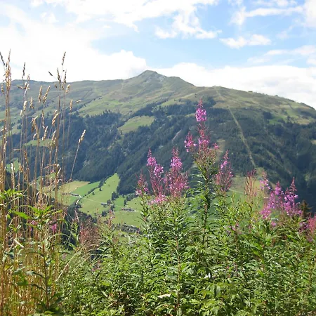 Galtenberg Apartment Alpbach