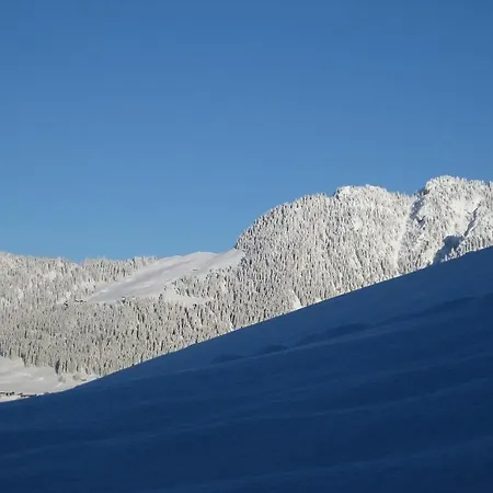 Galtenberg Alpbach