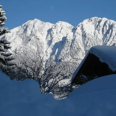 Διαμέρισμα Galtenberg Alpbach