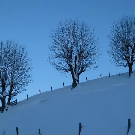 Galtenberg Lägenhet Alpbach