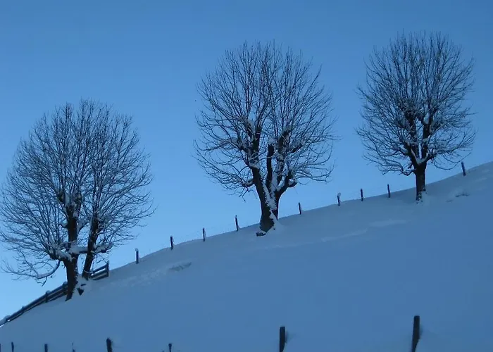 Appartamento Galtenberg *