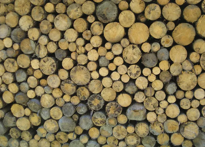 Appartamento Galtenberg