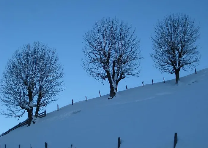 Galtenberg Appartamento Alpbach