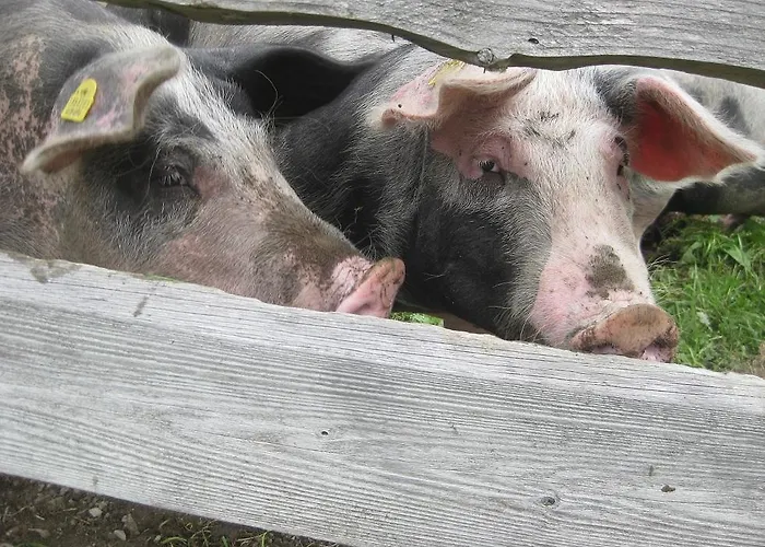 Galtenberg Appartamento *